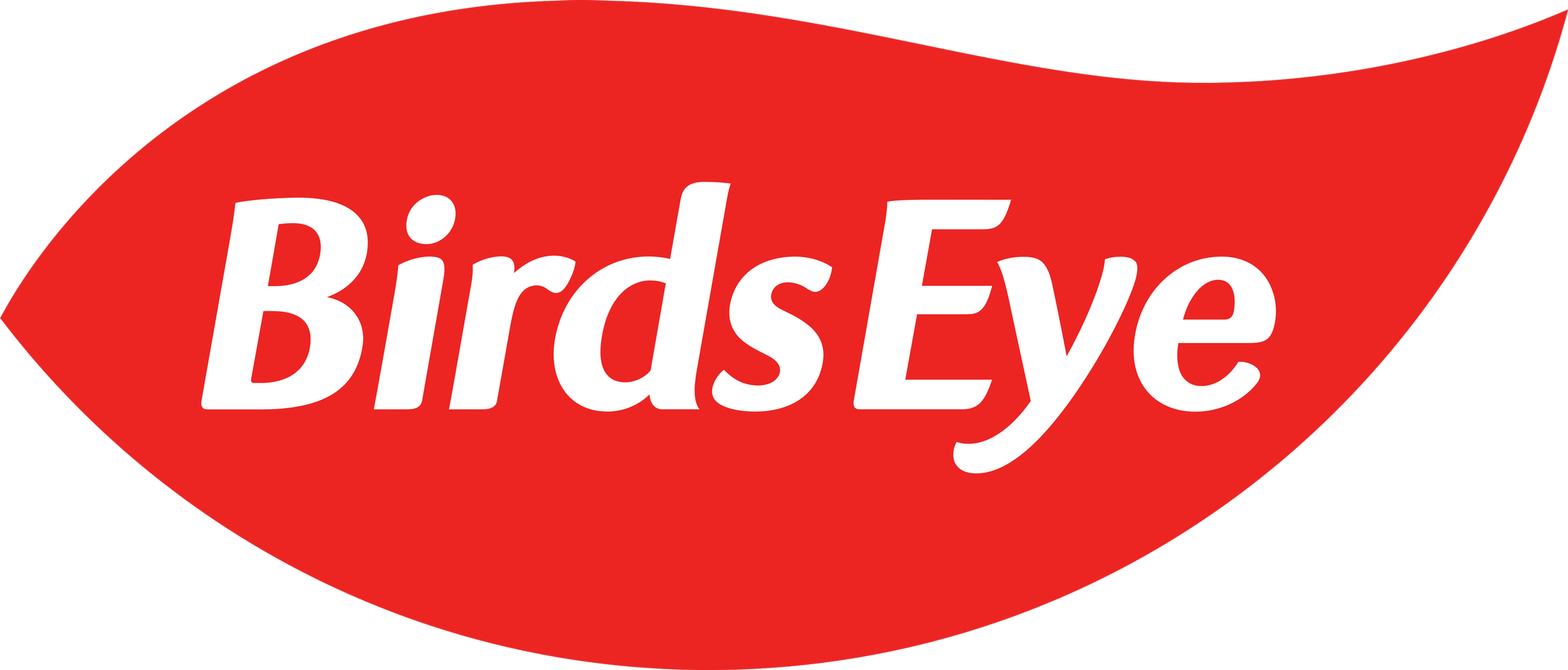 BirdsEye-Logo