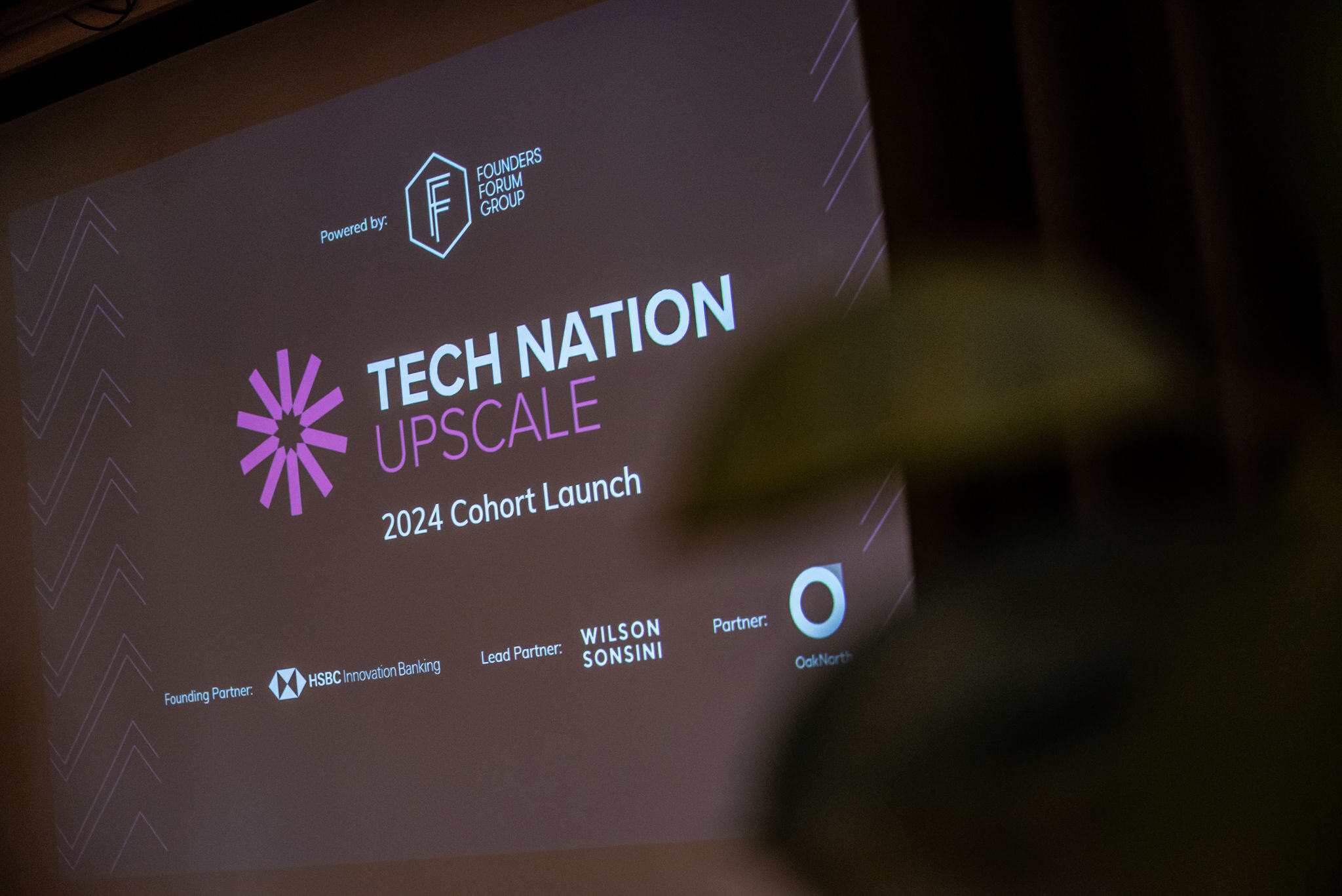 Fuuse Wins Place on Prestigious Tech Nation Upscale programme